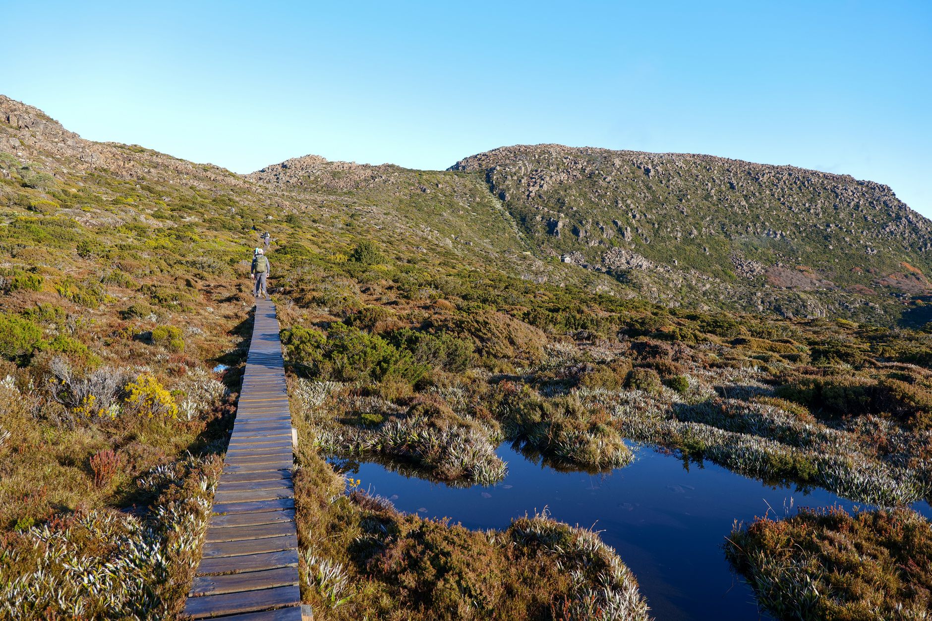 Scenicznym szlakiem przez alpejskie bezdroża Tasmanii